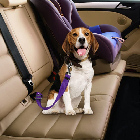 Pet safety belt