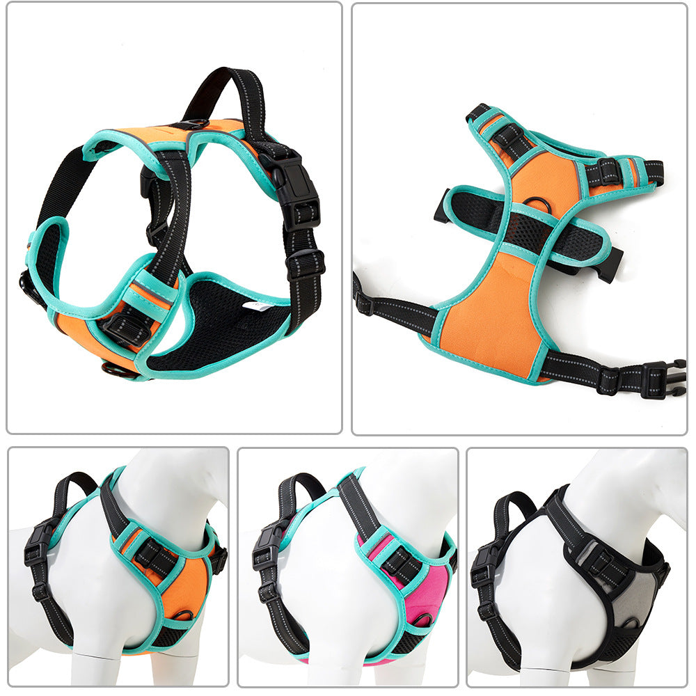 Dog outdoor vest